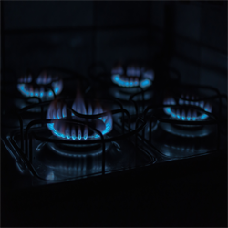 LIQUEFIED PETROLEUM GAS (LPG)